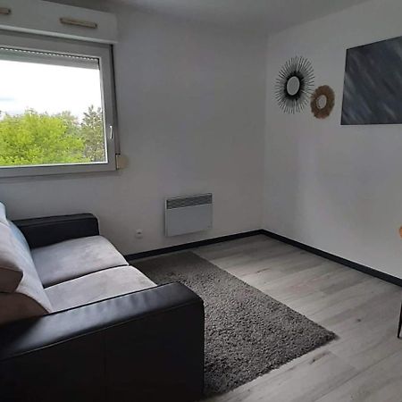 Studio Cosy Lyon Apartment Exterior foto