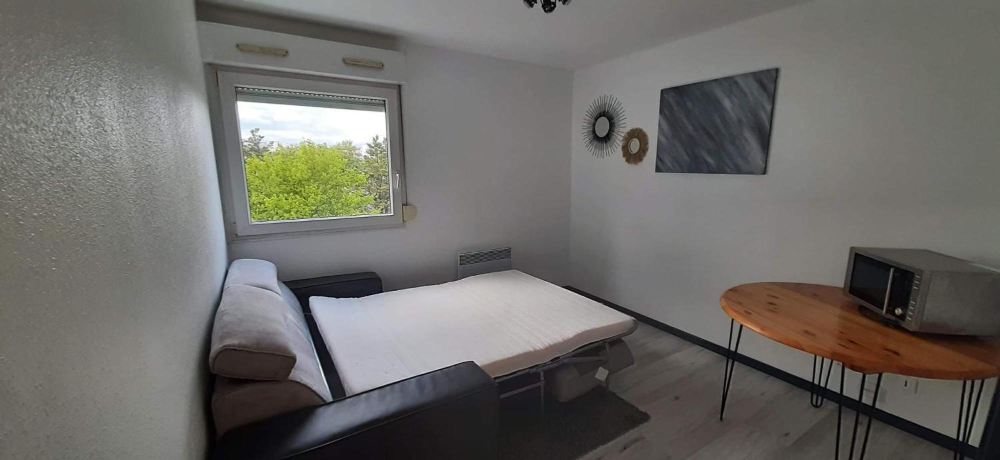 Studio Cosy Lyon Apartment Exterior foto