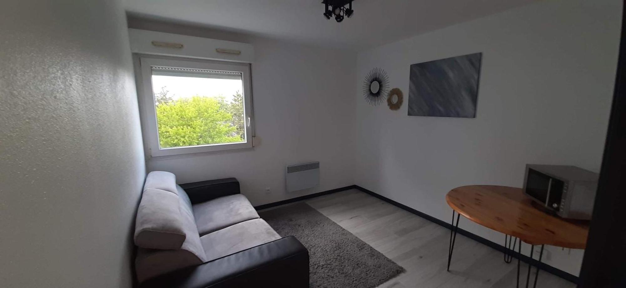 Studio Cosy Lyon Apartment Exterior foto